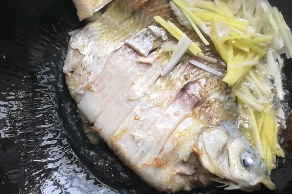 酸菜豆腐鱼的做法图解8