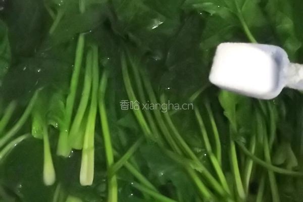 蒜狠辣菠菜的做法图解4