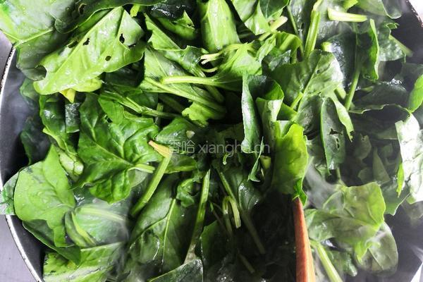 豆腐皮炒菠菜的做法图解6
