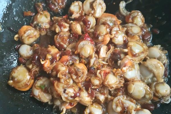 酱香鲜贝肉的做法图解4