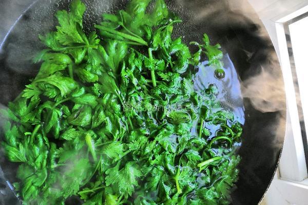 凉拌芹菜叶的做法图解4