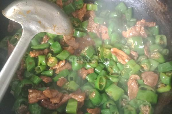 辣椒炒肉的做法图解3