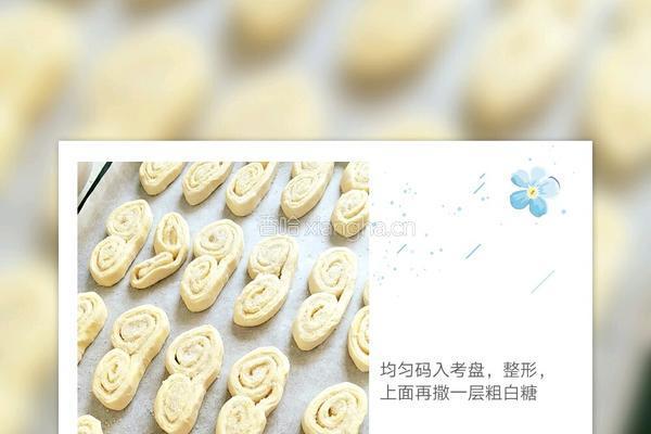 蝴蝶酥的做法图解7