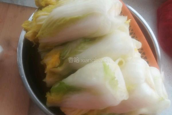 泡菜的做法图解2