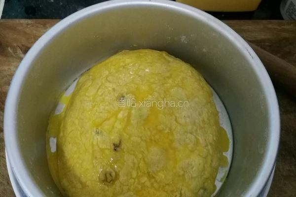 葡萄干全麦面包（大列巴）的做法图解12