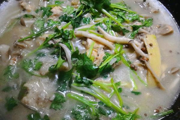 茶树菇炖鸡的做法图解16