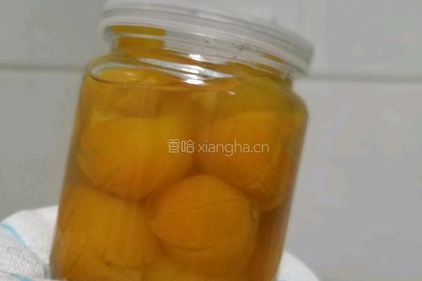 冰糖金桔的做法图解4