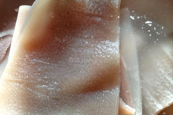 肉皮冻的做法图解4