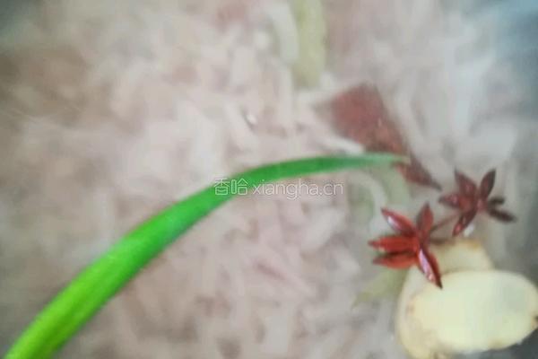 肉皮冻的做法图解7