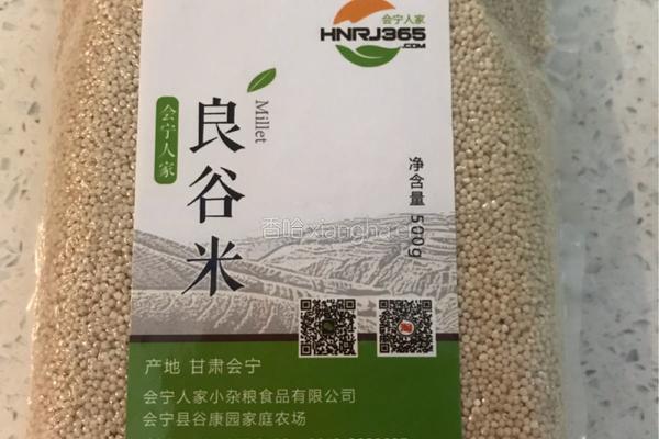 香肠披萨的做法图解10