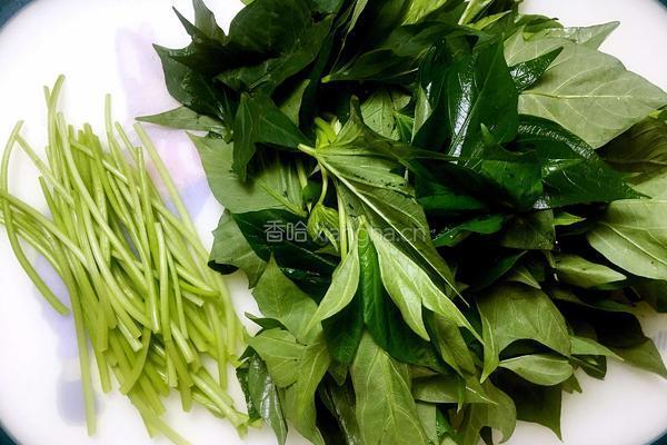 清炒番薯叶的做法图解2