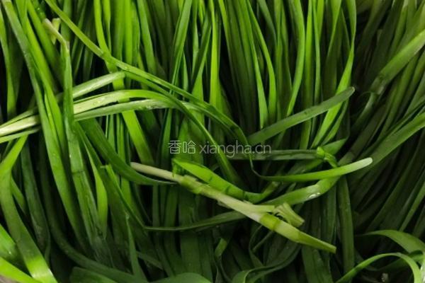 韭菜鸡蛋馅饼的做法图解1