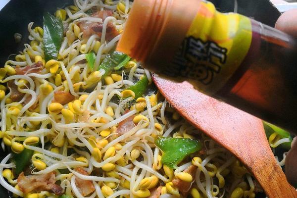 豆芽炒肉的做法图解8