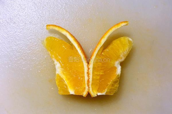 两只蝴蝶的做法图解7
