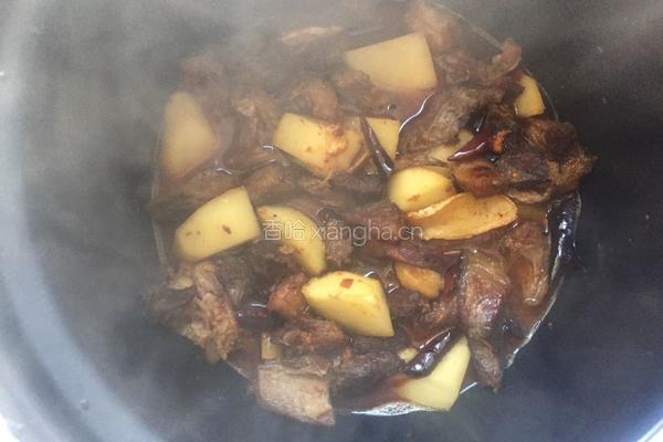 牛肉炖土豆的做法图解13