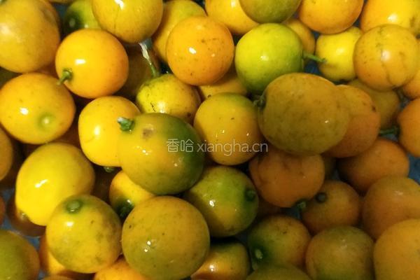 金桔酱的做法图解1