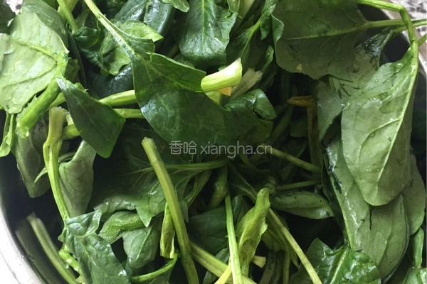 果仁菠菜的做法图解1
