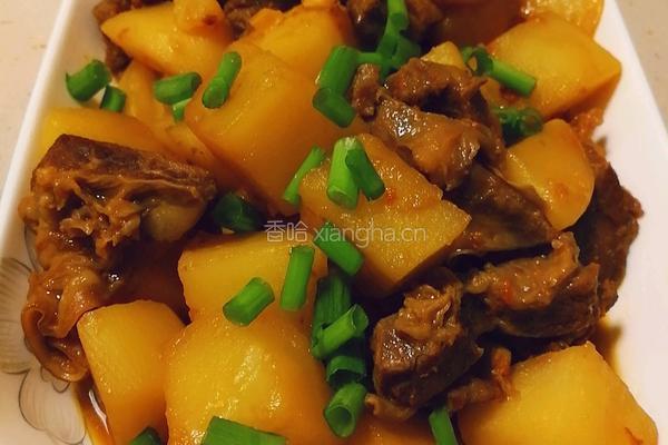 土豆烧牛肉的做法图解5