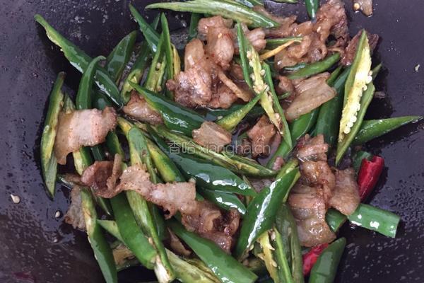 杭椒炒肉的做法图解9