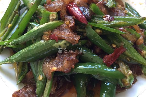 杭椒炒肉的做法图解11