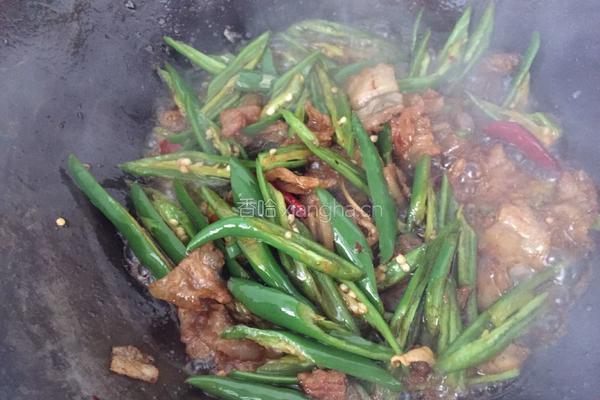 杭椒炒肉的做法图解10
