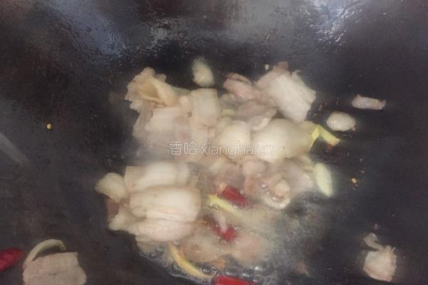 青蒜炒肉的做法图解8