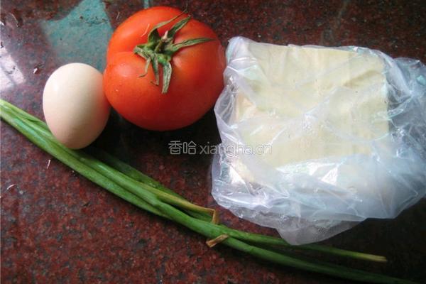 西红柿烧豆腐的做法图解1