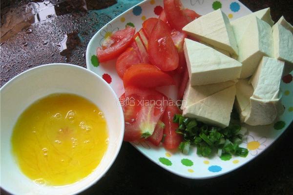 西红柿烧豆腐的做法图解3