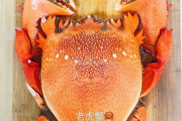爆炒老虎蟹的做法图解1