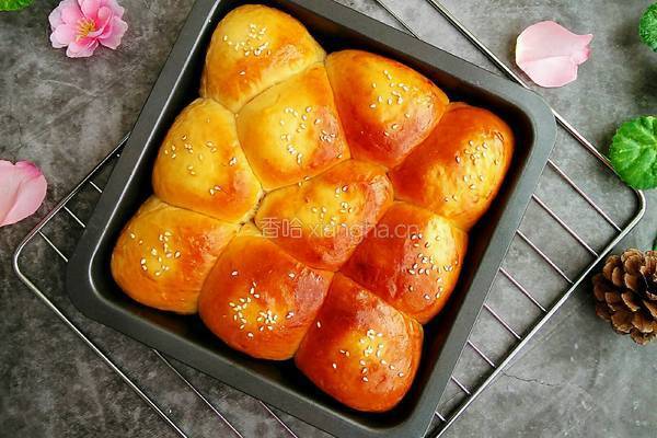 小餐包的做法图解7
