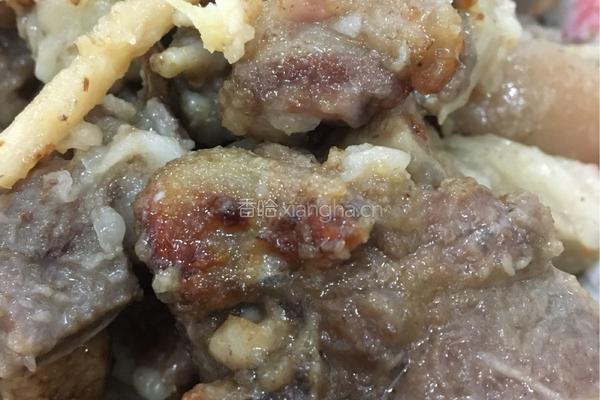 沙参玉竹焖羊肉的做法图解7