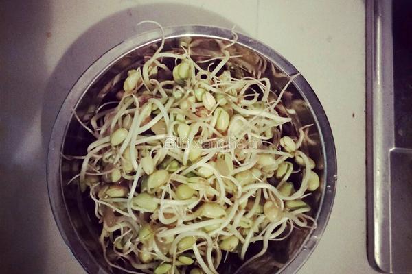 黄豆芽猪肉炖粉条的做法图解1
