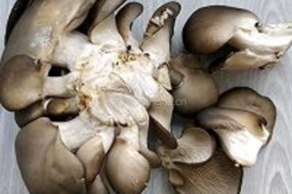 白菜炒平菇的做法图解1