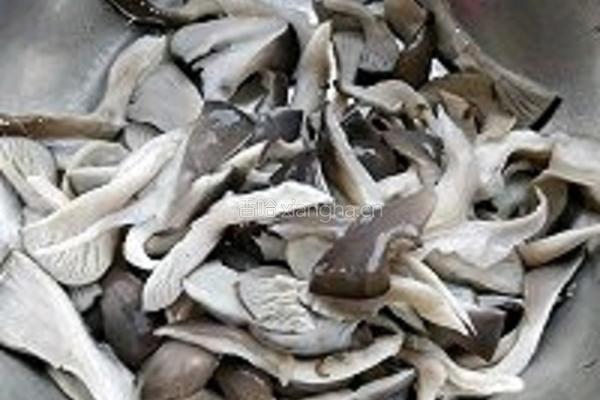 白菜炒平菇的做法图解4