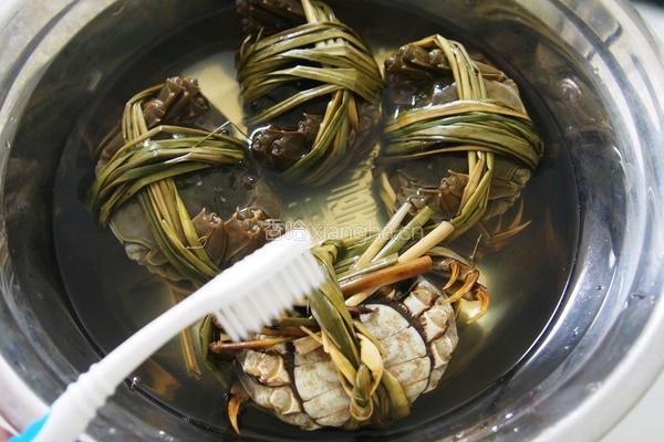 清蒸大闸蟹的做法图解3