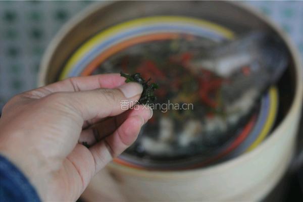紫苏砂锅鲫鱼蒸的做法图解11