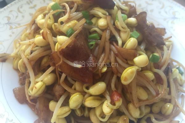 黄豆芽炒肉