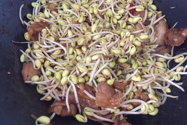 黄豆芽炒肉的做法图解9