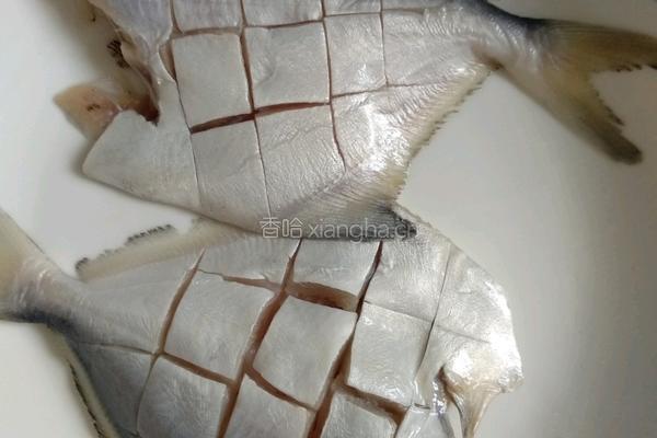 清蒸银鲳鱼的做法图解2