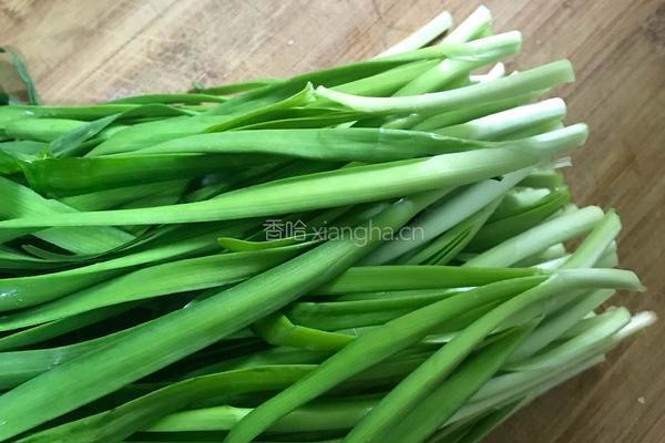 韭菜虾仁肉彩色水饺的做法图解4