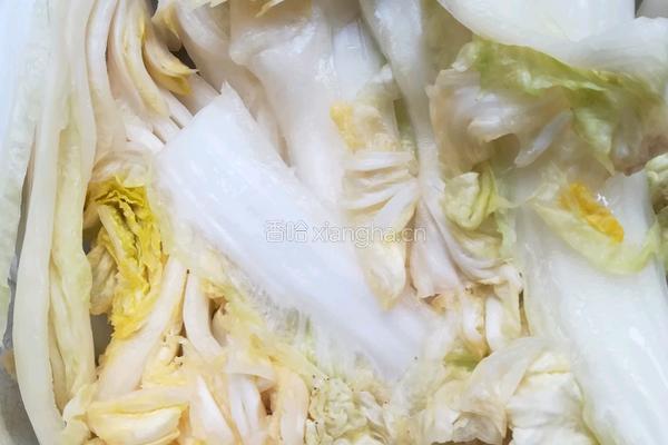 辣白菜的做法图解1
