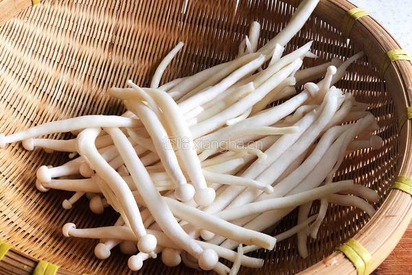 【新素食- 茄汁海鲜菇】的做法图解1