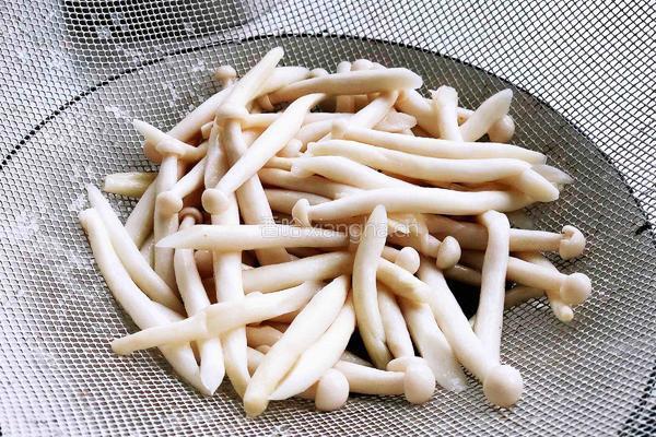 【新素食- 茄汁海鲜菇】的做法图解2