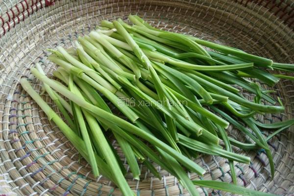 青蒜苗炒豆腐的做法图解2
