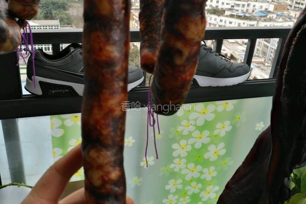 自制麻辣腊肠的做法图解14