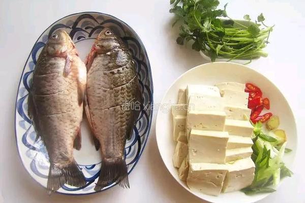 鲫鱼炖豆腐的做法图解1