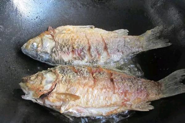鲫鱼炖豆腐的做法图解3