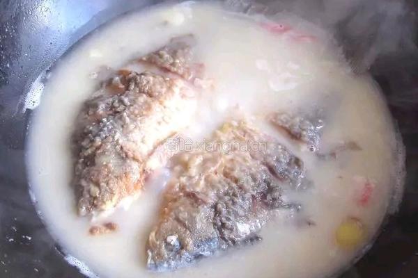 鲫鱼炖豆腐的做法图解5