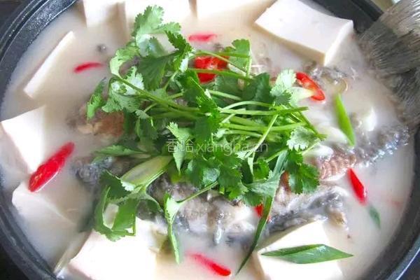 鲫鱼炖豆腐的做法图解6