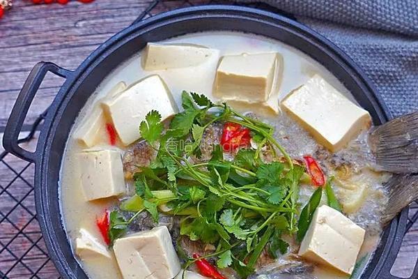 鲫鱼炖豆腐的做法图解8